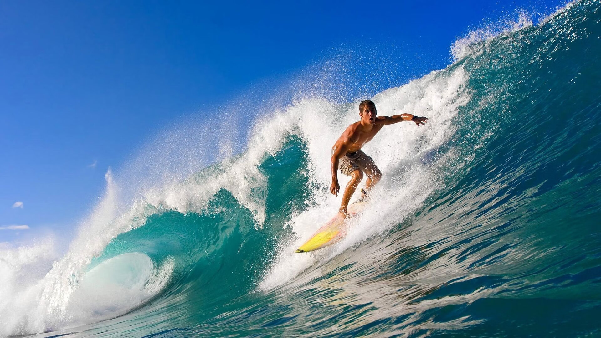 中国自行车队在场地世锦赛首日揽金 2026赛季开局完美